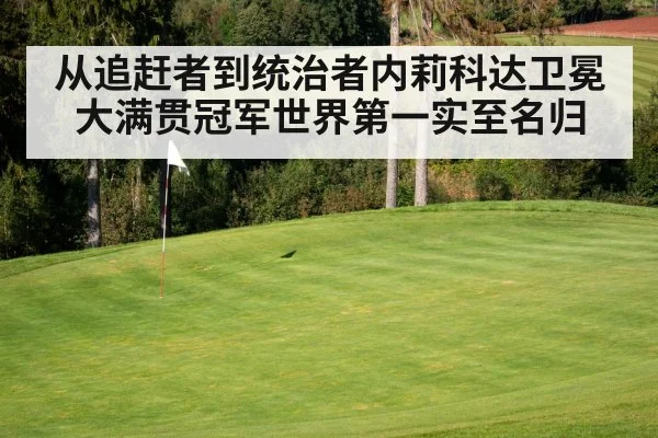 从追赶者到统治者内莉科达卫冕大满贯冠军世界第一实至名归